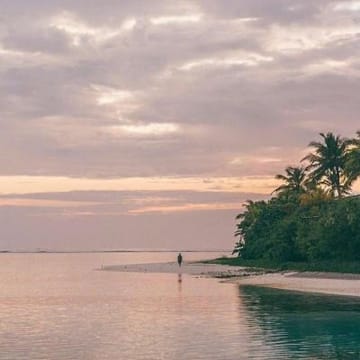 Ảnh đại diện của Anika